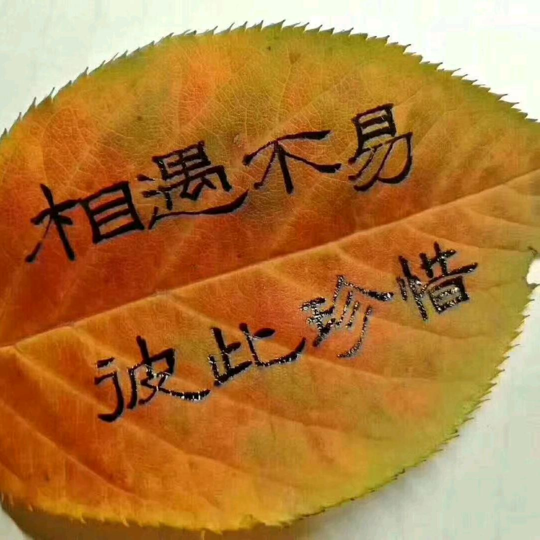 一切随缘🧡ྀི💛ྀི❤️ྀི