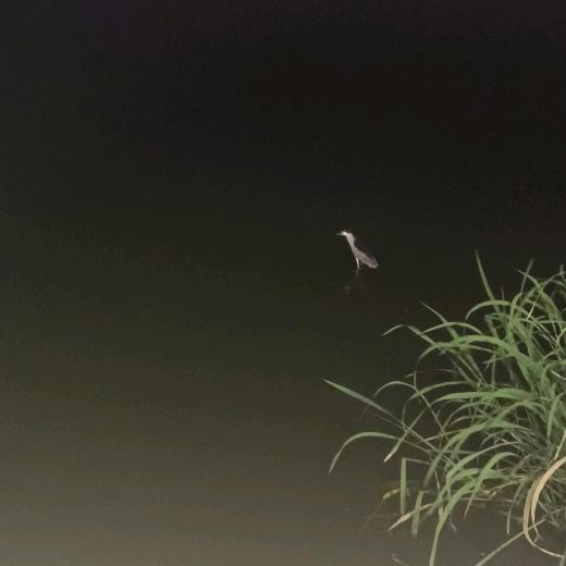 曾经拥有