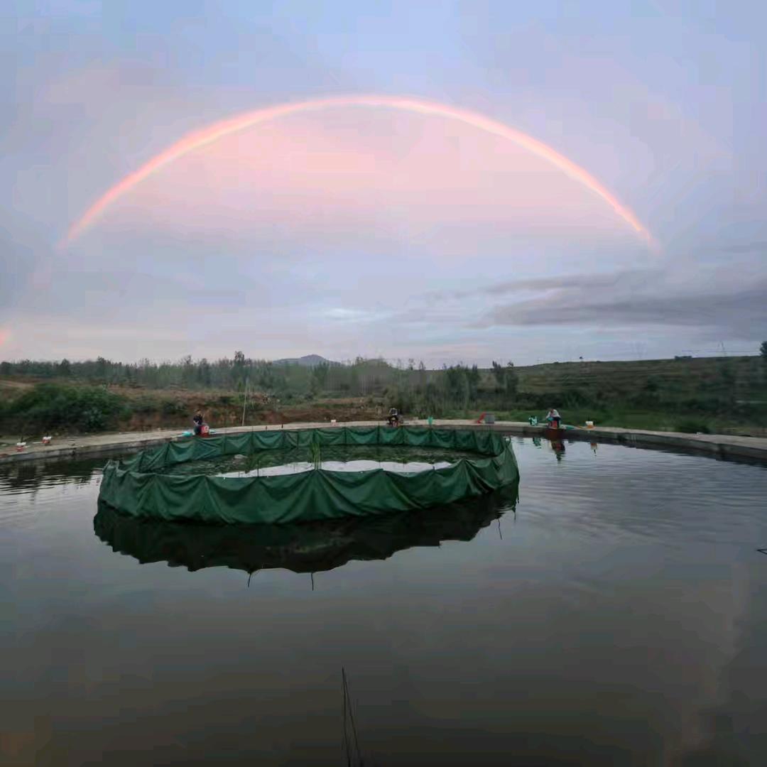 曲阜胡二北大炮坑