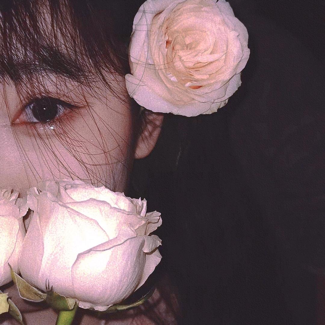 花辞树