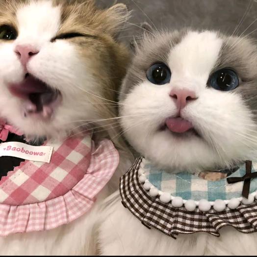 ૮₍ ˃ ⤙ ˂ ₎ა