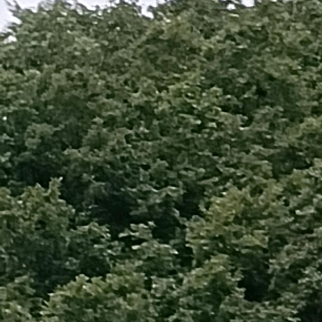 用户6754237262365