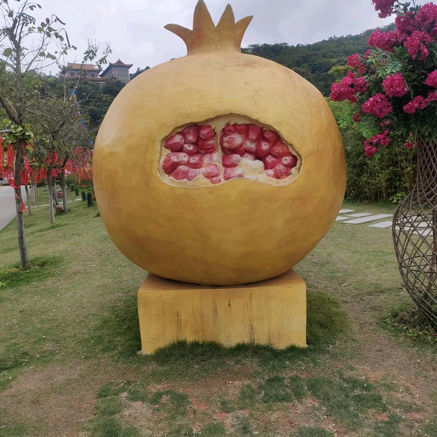 杨帆启航