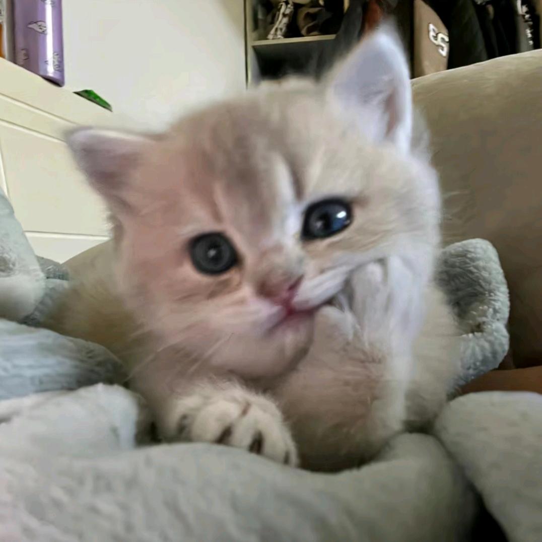 Nini.