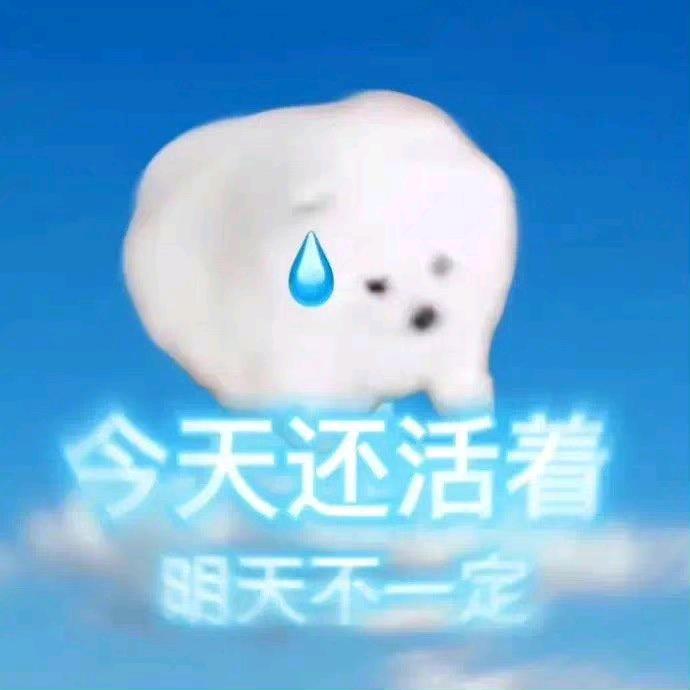 流浪狗