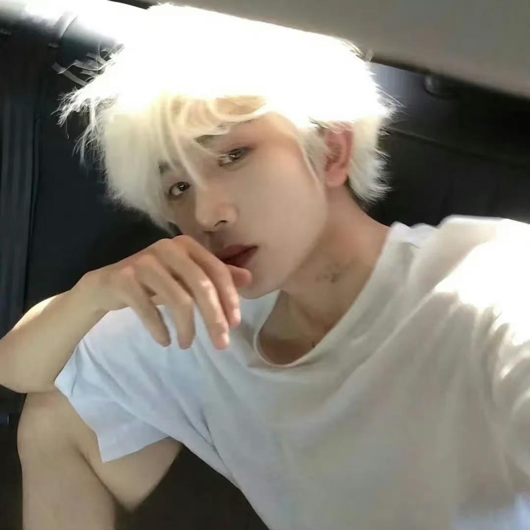 南风祈鹤🍁