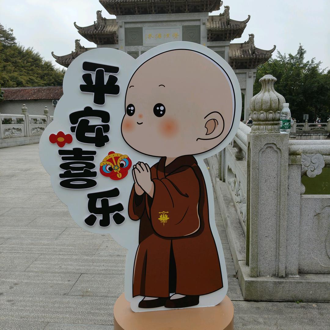 白茶清欢