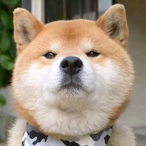 智慧树
