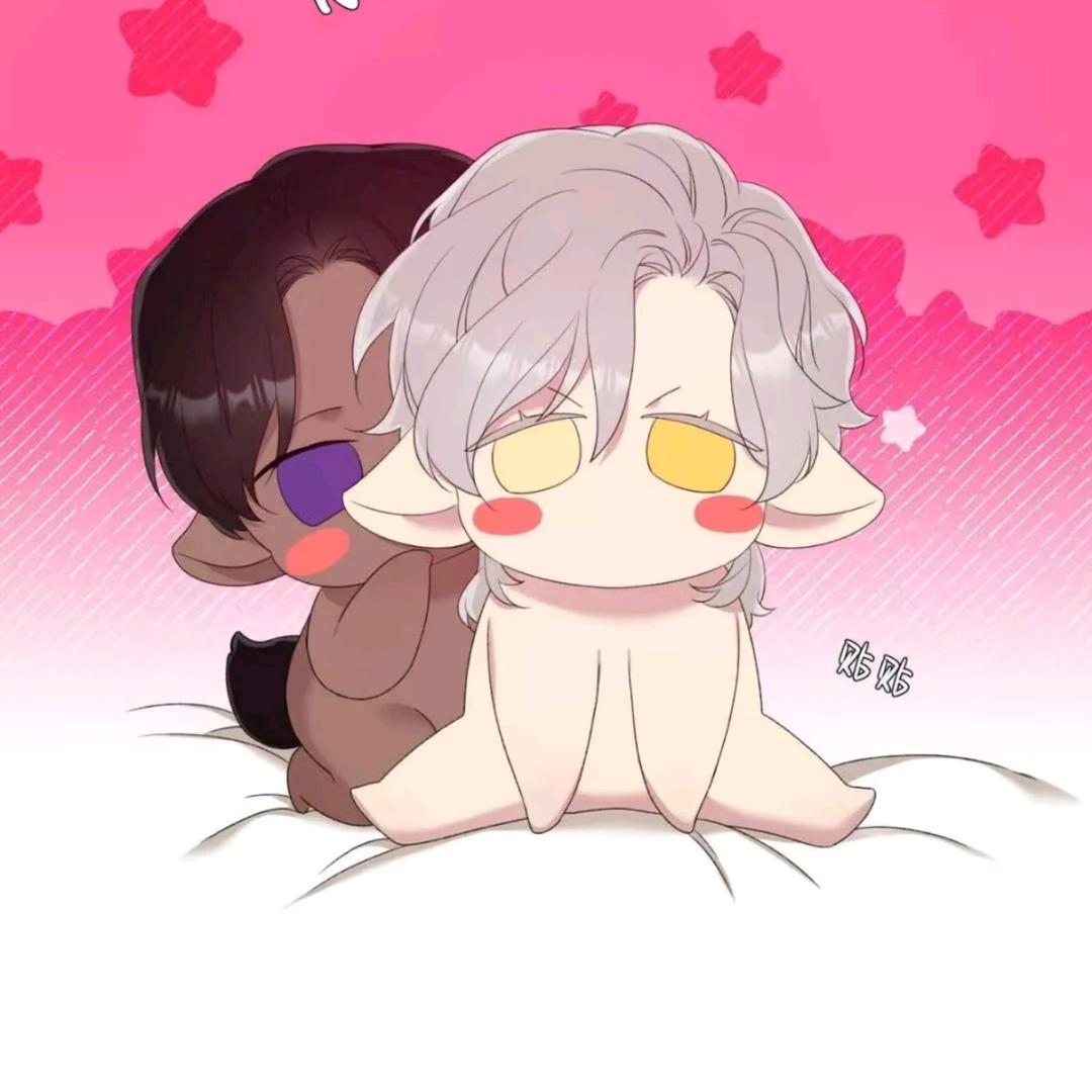 哦可哦可