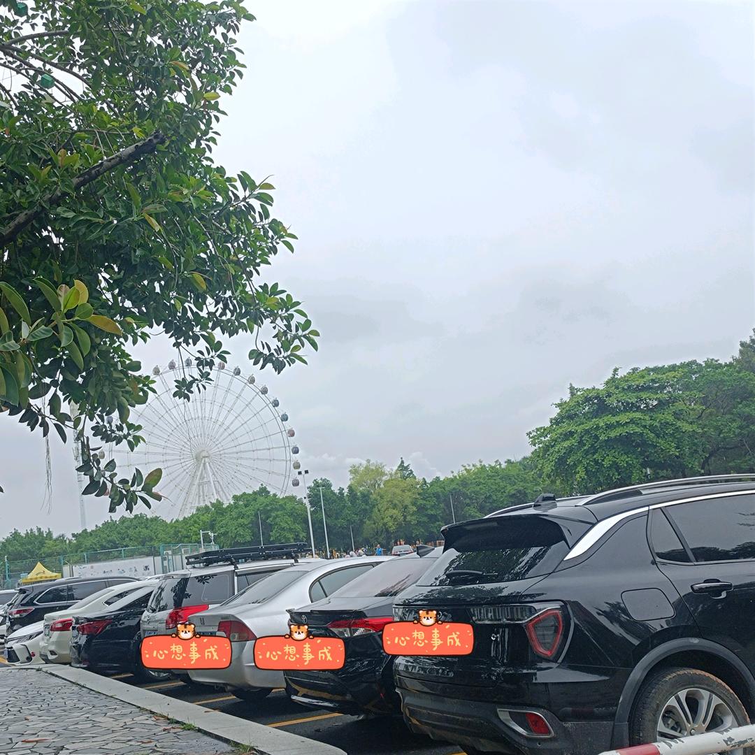 开心的人
