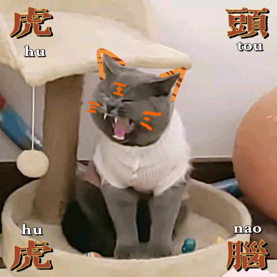 小胖子来啦🌸