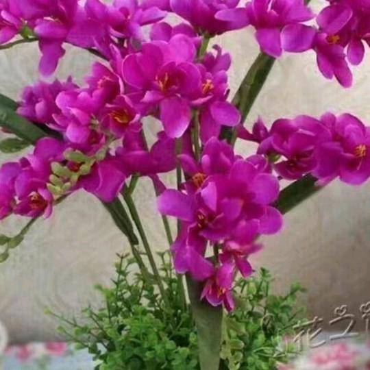 🎊✨迟来的缘分🎉