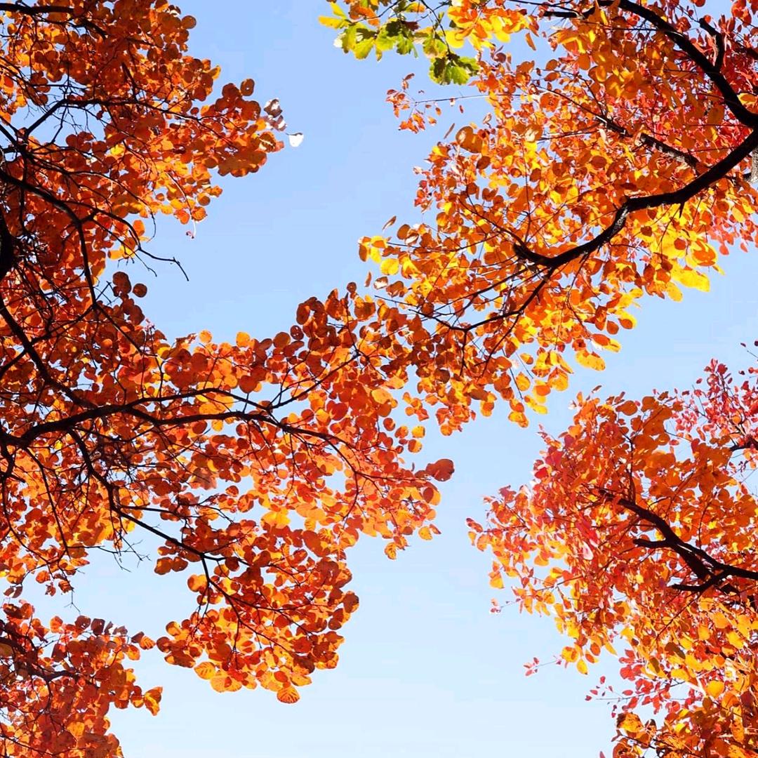 铭记，谨记，切记，