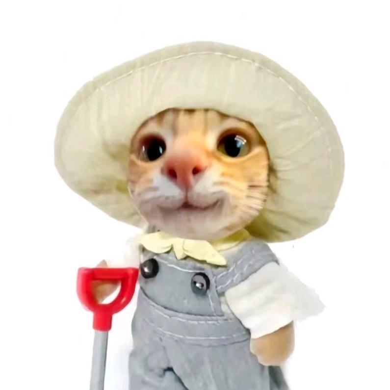随便