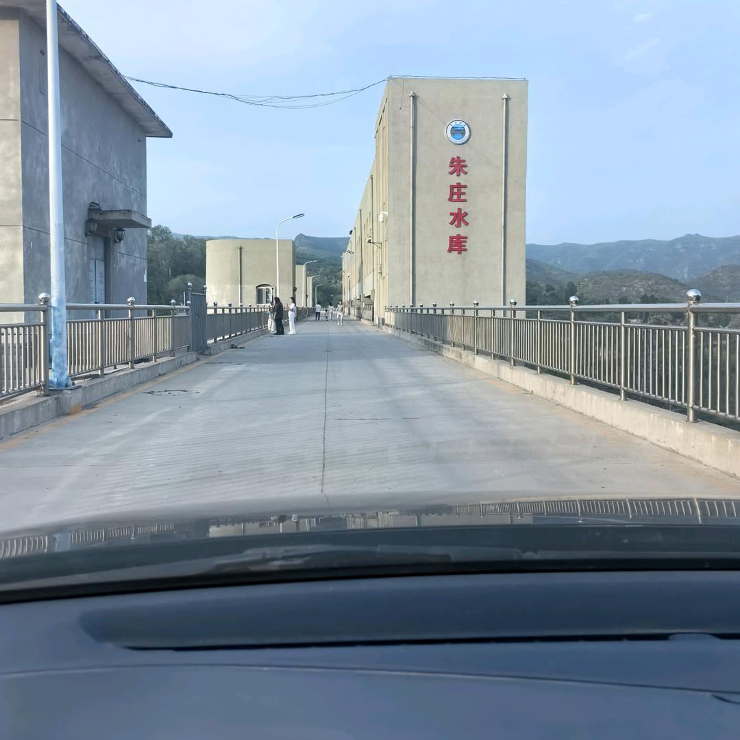 向往自由