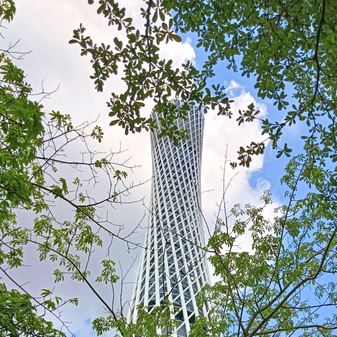 ✨灰姑娘⁹¹⁶授权号