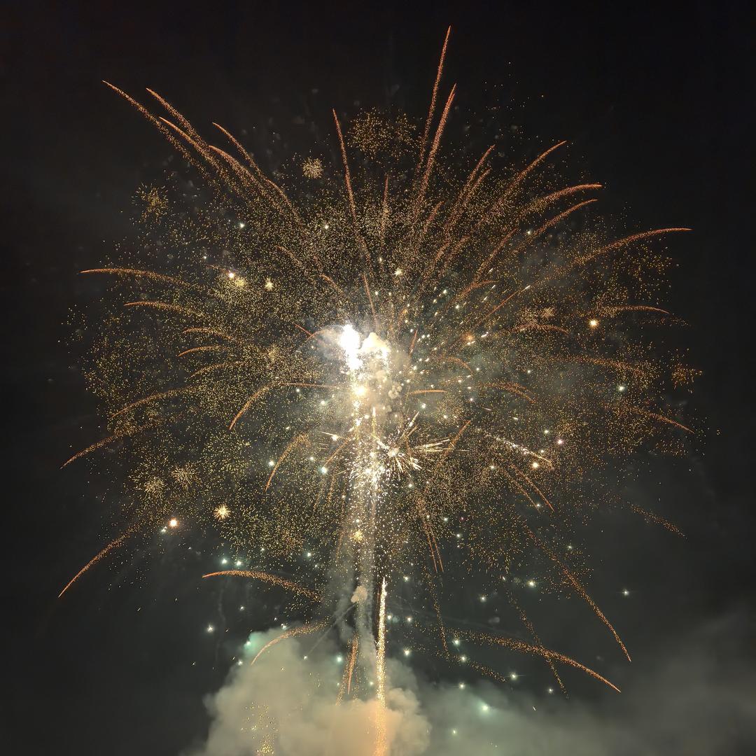 瘦不下来的老牛