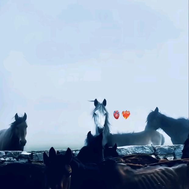 强觉
