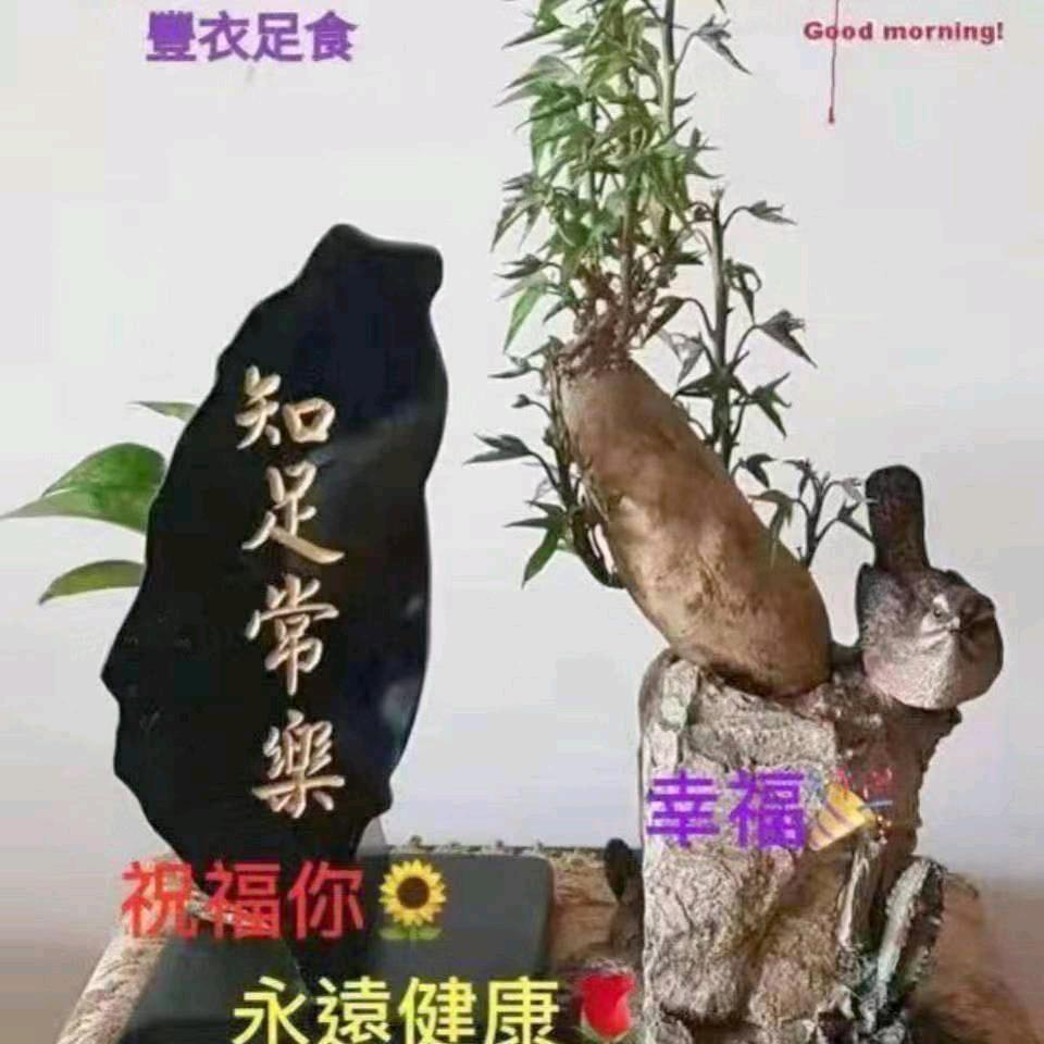 做好自己