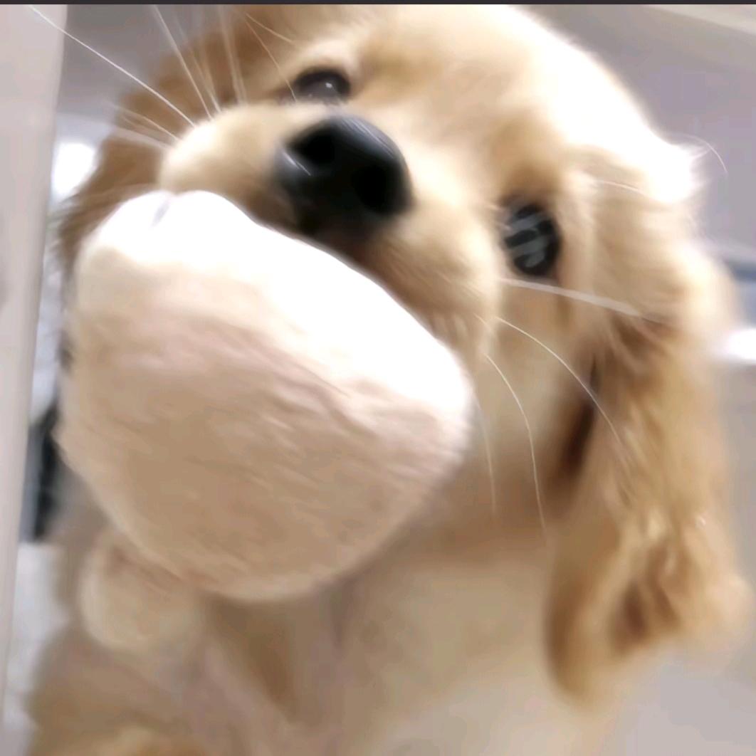 狂踹瘸子那条好腿