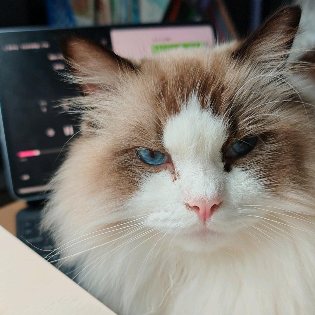 小疏毓（恩师R卡密）