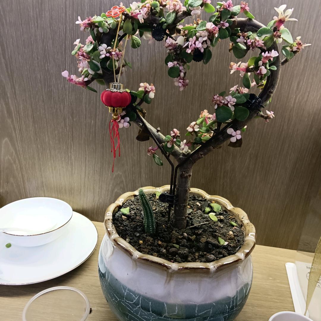 “称”心如意