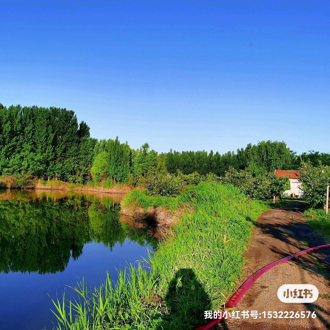 潍城区乡约家庭农场