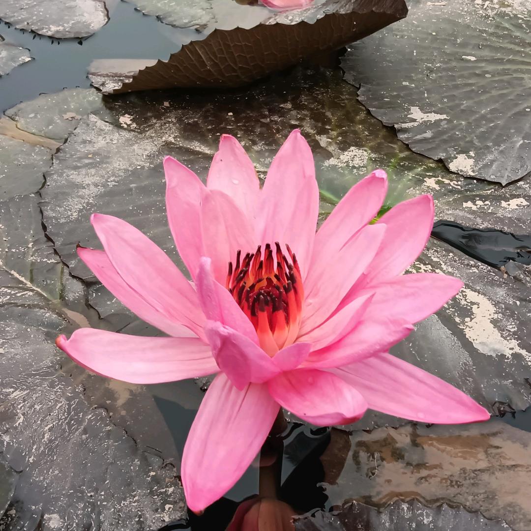 幸福～～开心