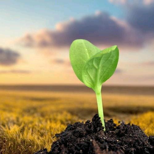 平安喜乐。。。。