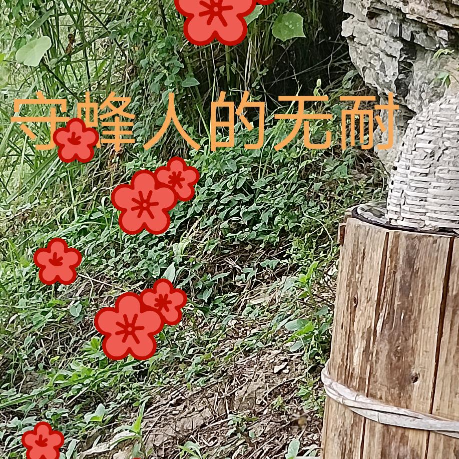 唯一