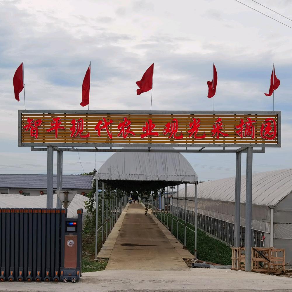 水西智平农业傅淑梅