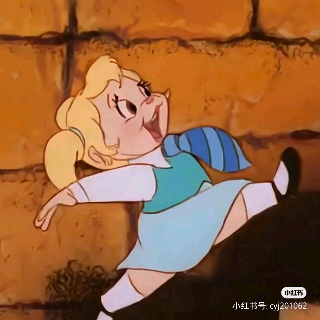 小贺不在线