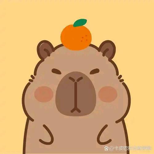 卡皮巴拉的游记