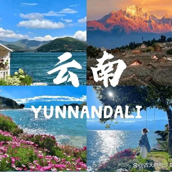 赴约云滇