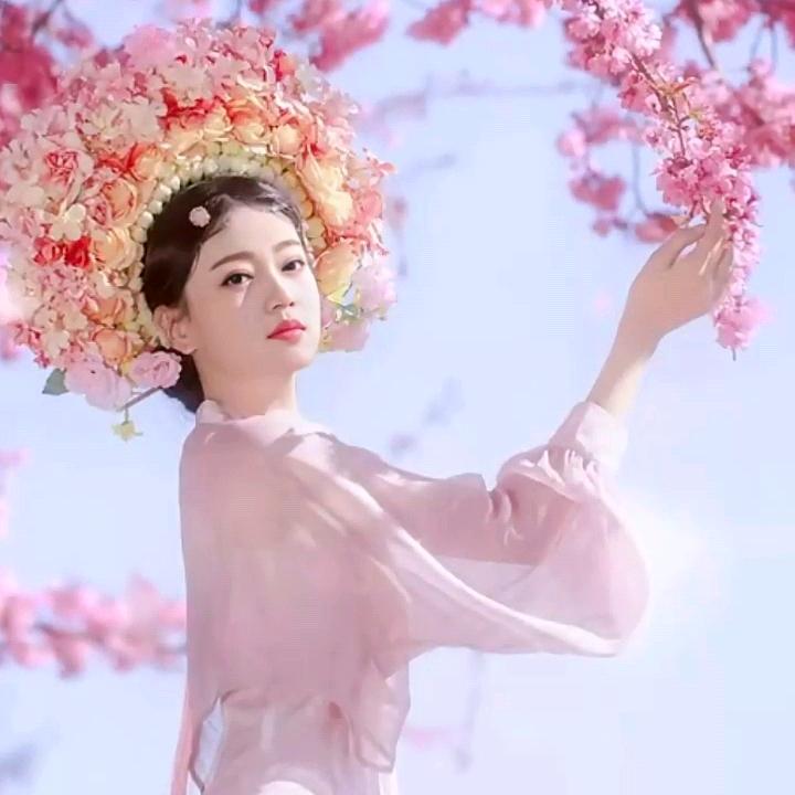 轮胎妹🐬