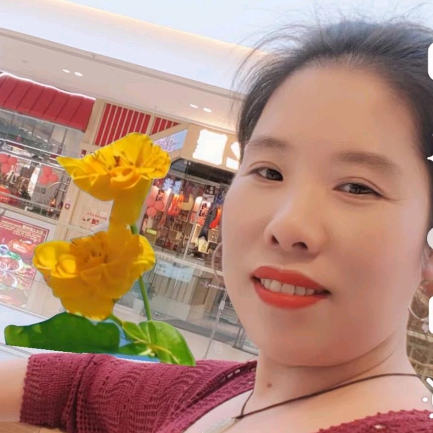 无忧草🌿
