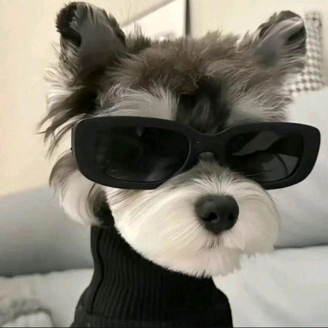 远方
