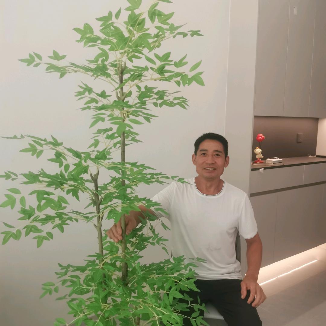 杨云怀
