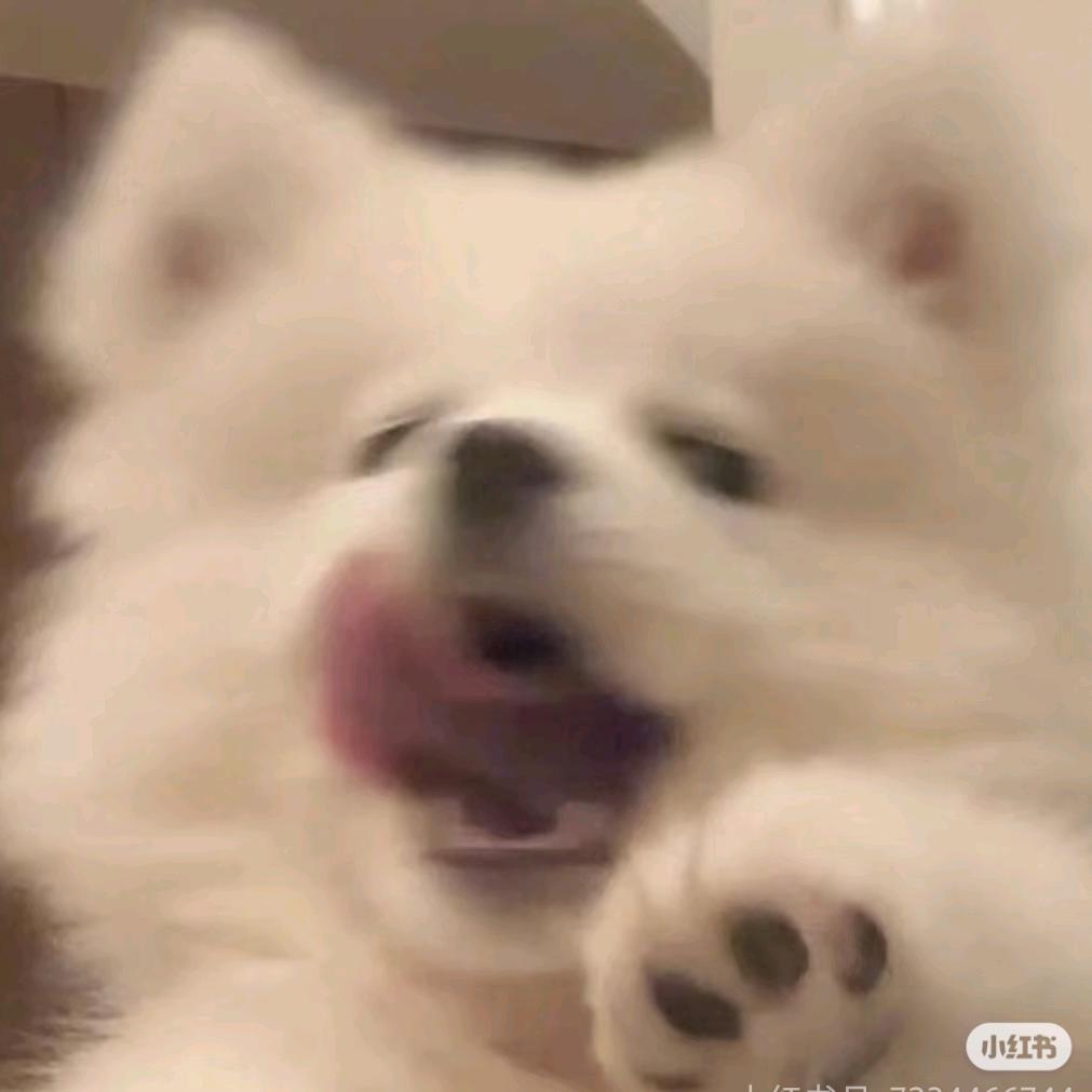 据说名字太长会有傻子跟着念