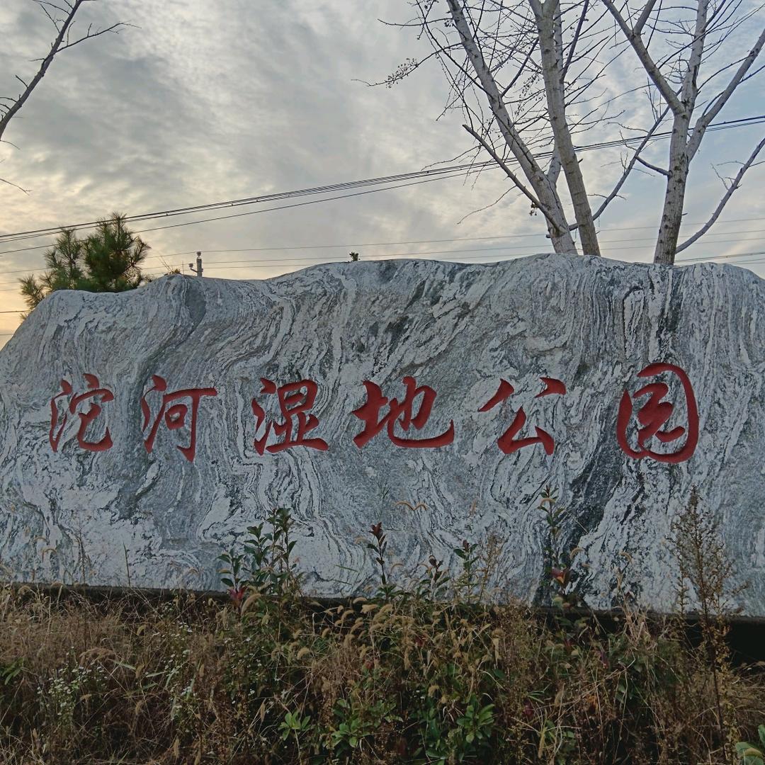 鱼乡