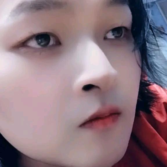 豫s刘弟（单身版）