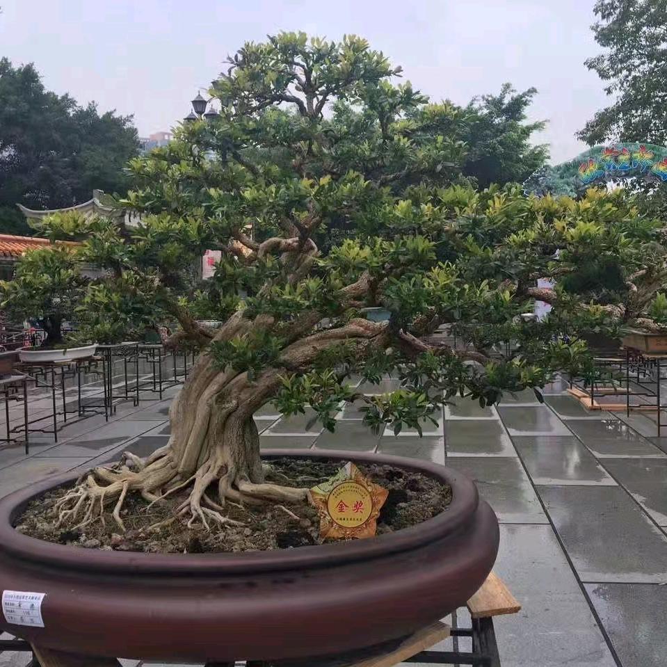 嘉鑫园艺