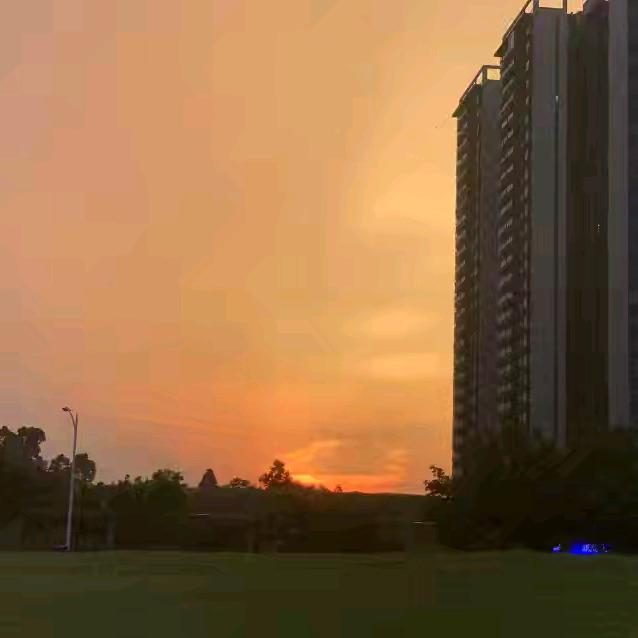每天开心