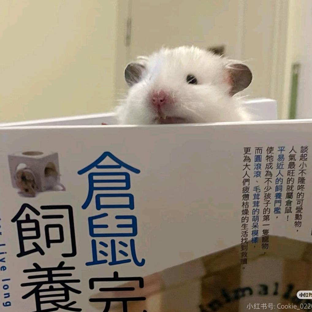早睡早起✧.*