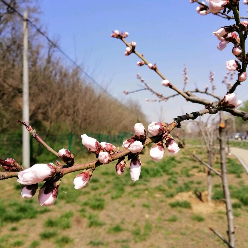 晚风🚶🏻‍♀️