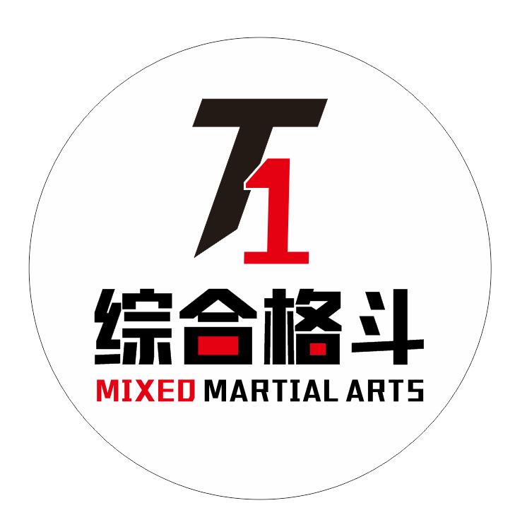 T·1综合格斗