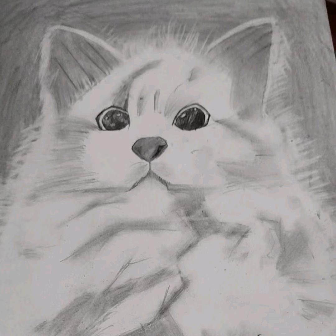 一路为你～摆渡