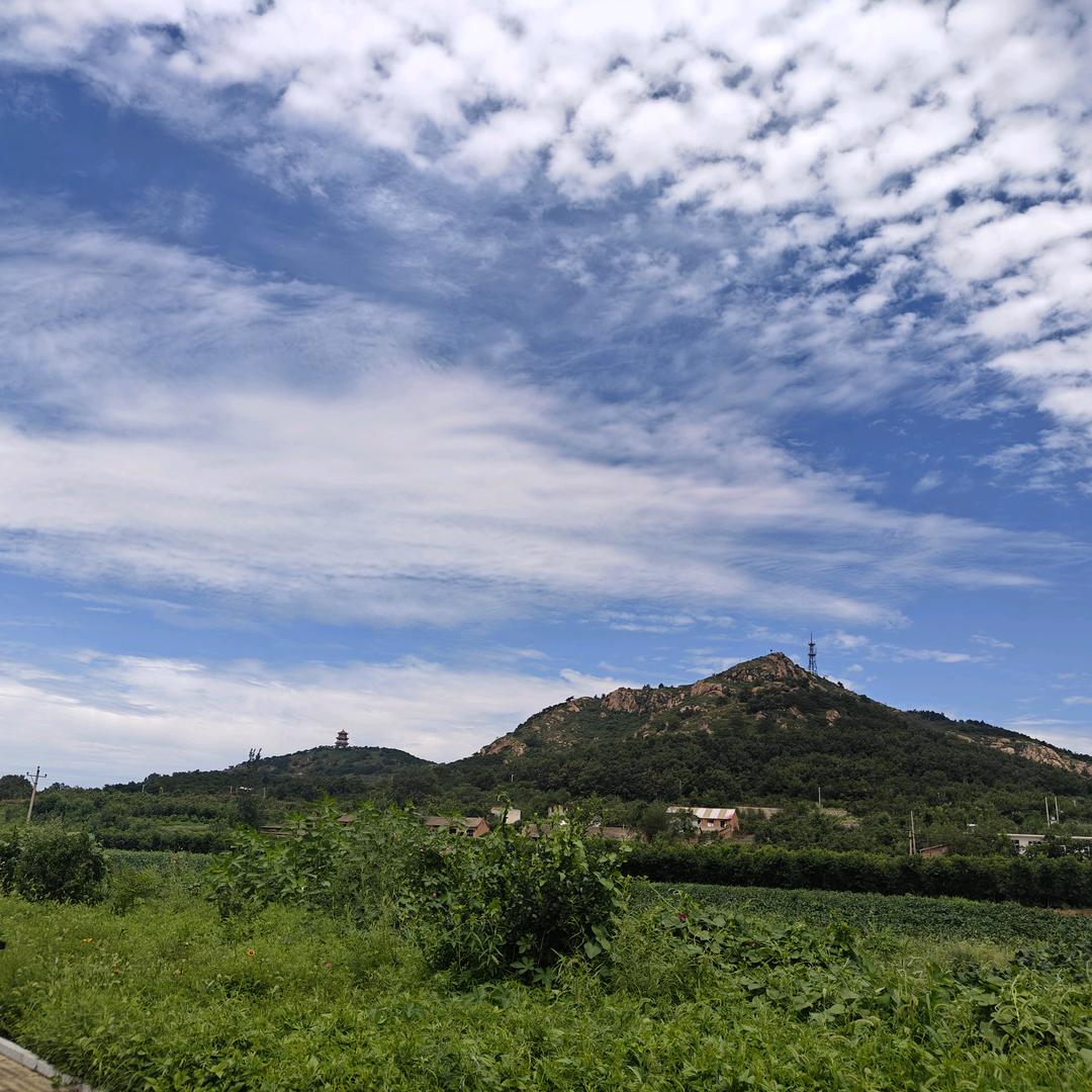 旧书老物红藏大全