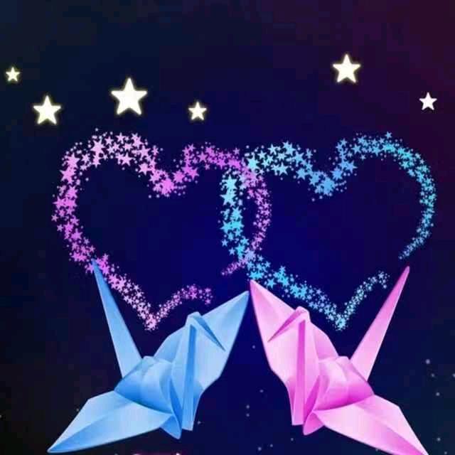 🌈明天🍃会更好☘