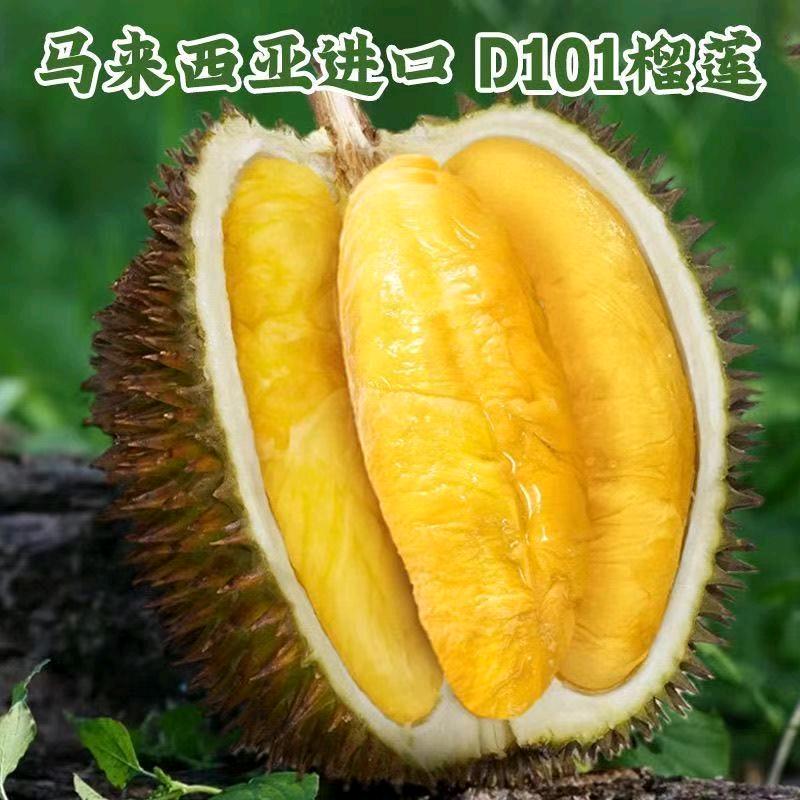 高端水果直发明天到